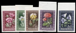 Hungary #906-910 Cat$60, 1950 Peonies, imperf. sheet margin set of five, neve...