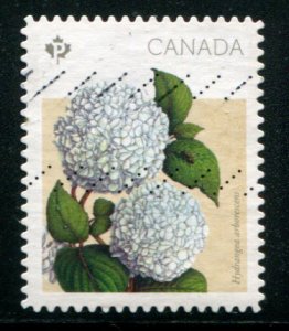 2900 Canada P Hydrangea SA, used