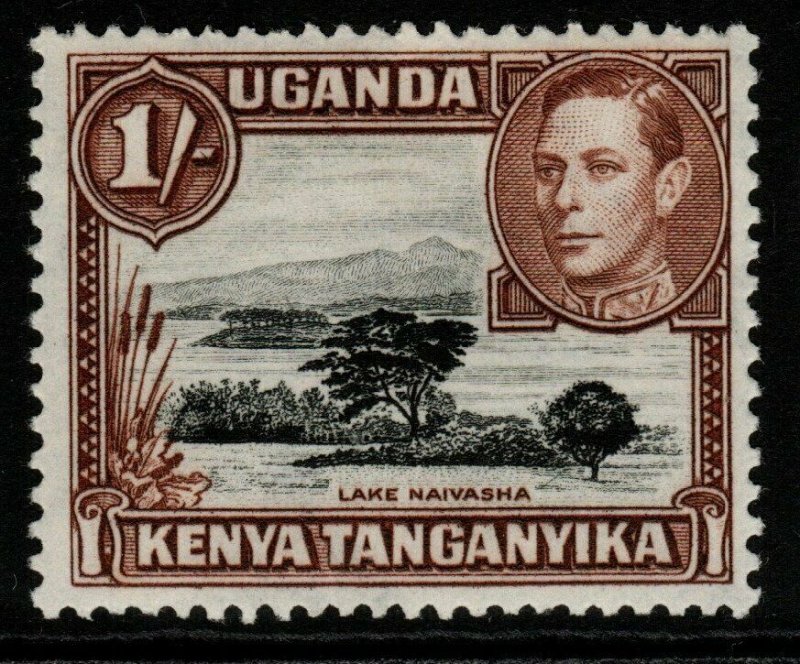 KENYA, UGANDA & TANGANYIKA SG145ba 1950 1/= DEEP BLACK & BROWN MTD MINT