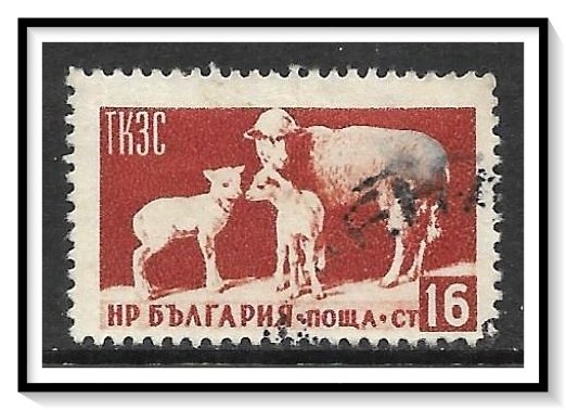Bulgaria #885 Sheep Used