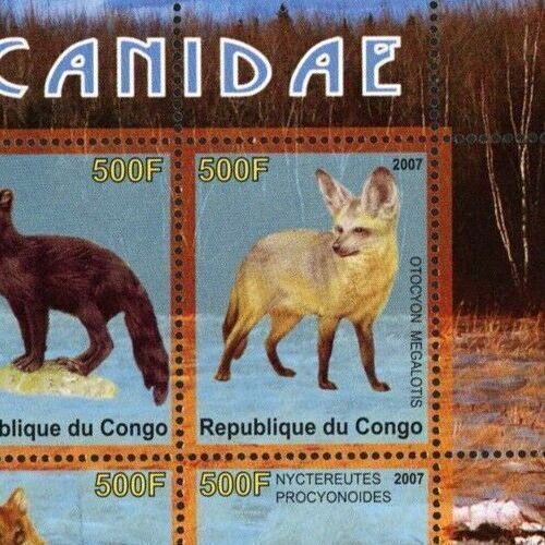 Congo Canin Fox Wild Animal Cuon Alpinus Souvenir Sheet of 4 Stamps Mint NH