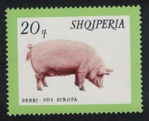 Albania Pig Domestic Animals 1966 MNH SG#989