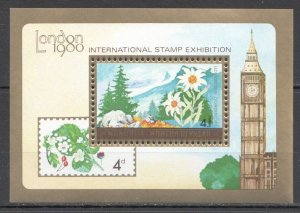 Wb214 1980 Mongolia Flora Flowers Landscapes London Expo Big Ben 1Bl Mnh