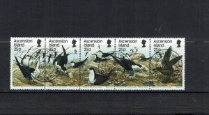 Ascension Island: 1988  Sea Birds, (2) Sooty Tern horizontal strip, FU set
