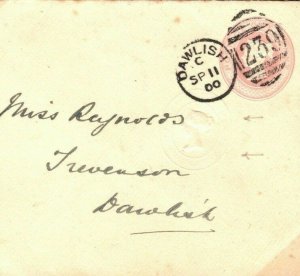 GB PENNY PINK ERROR Cover 1900 Extra ALBINO Impression Devon {samwells}E114