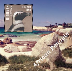 Gambia 2014 - African Penguin - Souvenir stamp sheets - Scott #3563 - MNH