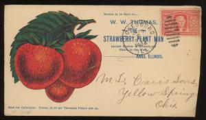 1904 STRAWBERRY Plant Man ~ ADVERTISING Cover ~ Anna Illinois