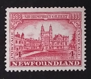Newfoundland 215 VF MNH