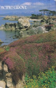 US,2010 Postcard to South Africa