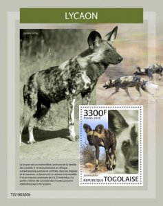 Togo 2019 MNH Wild Animals Stamps African Wild Dogs Fauna 1v S/S