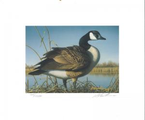 RW64 1997 FEDERAL DUCK STAMP PRINT CANADA GOOSE by Robert Hautman