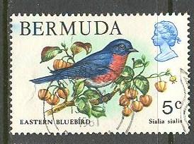 BERMUDA Sc# 365 USED FVF Eastern Bluebird