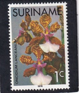 Surinam   #    427     unused
