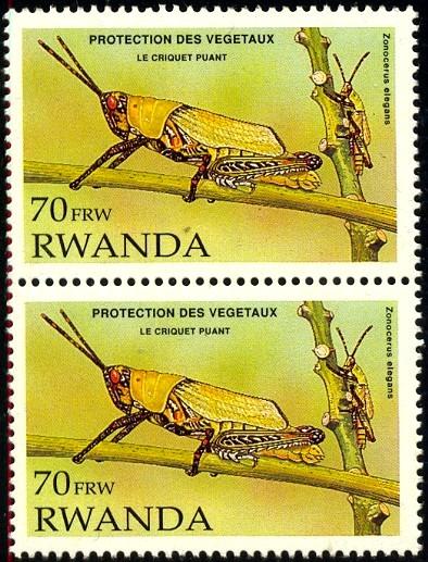 Insect, Elegant Grasshopper, Rwanda SC#1377 MNH Pair