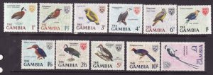 Gambia-Sc#215-27 ex 215,218- id14-unused NH set-Birds-1966-