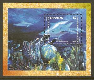 Bahamas #960 NH Environmental Prot. SS