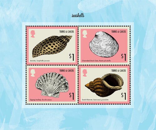 Turks And Caicos - 2014 - SEASHELLS Sheet of 4 - MNH