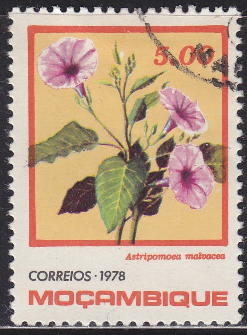 Mozambique 596 Astripomoea Malvacea 1978