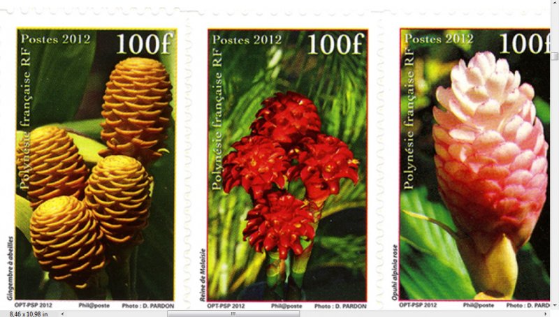 COLOR PRINTED FRENCH POLYNESIA 2011-2020 STAMP ALBUM PAGES (45 illustr. pages)