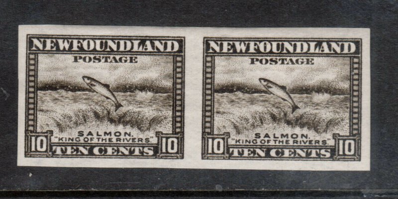 Newfoundland #193a Extra Fine Never Hinged Imperf Pair