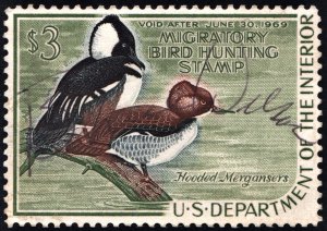 RW35 $3.00 Hooded Mergansers Duck Stamp (1968) Signed