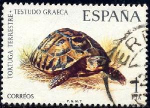 Greek Tortoise, Spain stamp SC#1819 Used