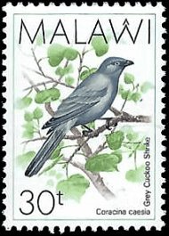 MALAWI   #526 MNH (1)