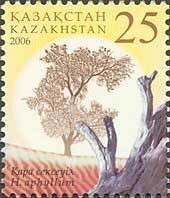 Kazakhstan 2006 MNH Stamps Scott 510 Saksaul Tree
