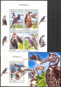 Sierra Leone 2018 Birds Hornbills sheet + S/S MNH