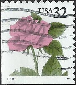 # 2492 USED RED ROSE    