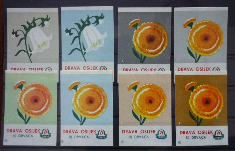 Match Box Labels! flora flower flowers nature osijek croatia yugoslavia GJ40