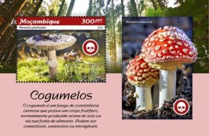 Mozambique - 2019 Mushrooms - Stamp Souvenir Sheet - MOZ190102b