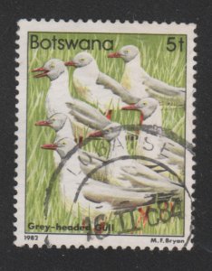 Botswana 307 Birds 1982