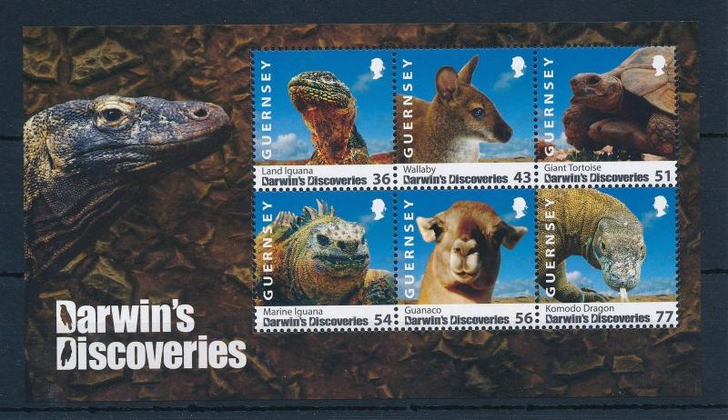 [29723] Guernsey 2009 Wild Animals Charles Darwin Iguana Wallaby MNH Sheet