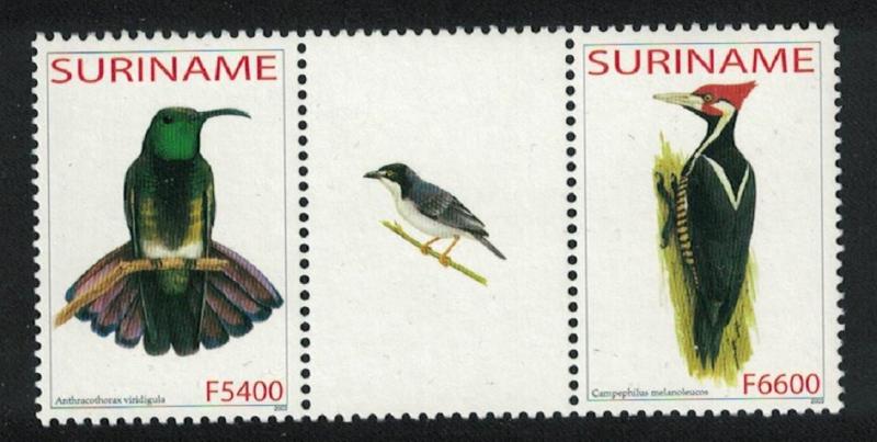 Suriname Green mango Woodpecker Birds 2v SG#1995-1996