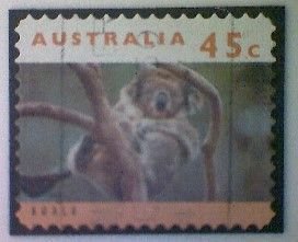 Australia, Scott #1293, used(o), 1994, Wildlife: Koala, 45¢