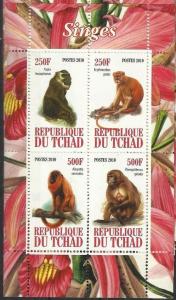 TCHAD CHAD SHEET MONKEYS PRIMATES WILDLIFE