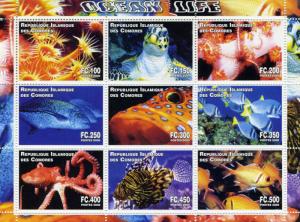 COMORO ISLANDS 2000 OCEAN LIFE Sheet Perforated Mint (NH)