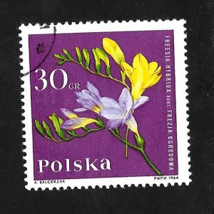 Poland 1964 - U - Scott #1280