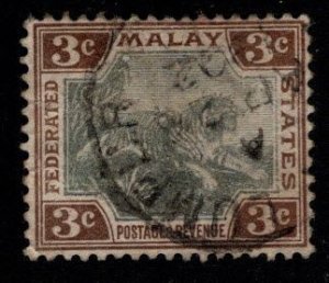 Federated Malay States Scott 19 Used Tiger stamp wmk 2, 1901