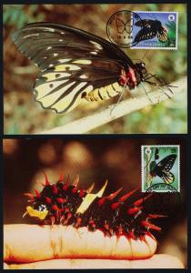 Papua New Guinea 697-700 on Maxi Cards - Butterflies, Insects, Flower