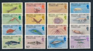 [23503] British Antarctic Territory 1984 Marine Life MNH