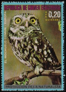 Equatorial Guinea sw1224 - Cto - 0.20p Little Owl (1976)