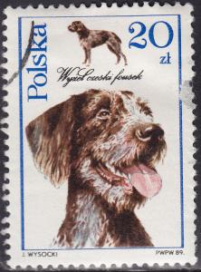 Poland 2902 Dogs Czech Fousek Pointer 1989