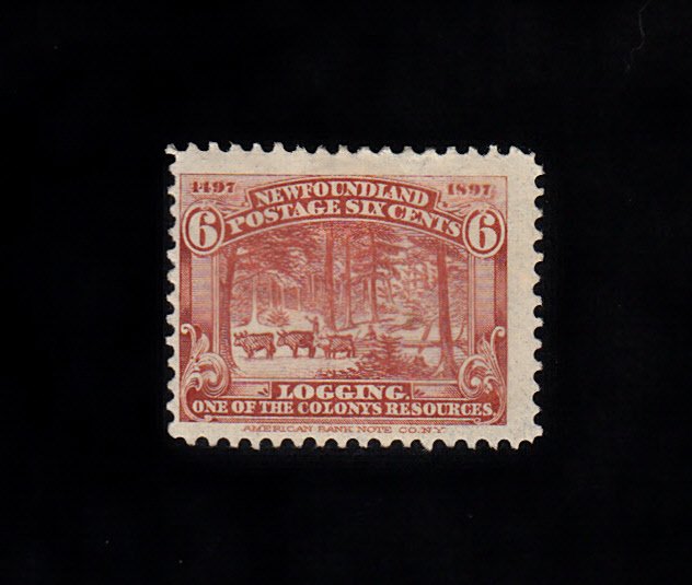 Newfoundland Scott #66 MH