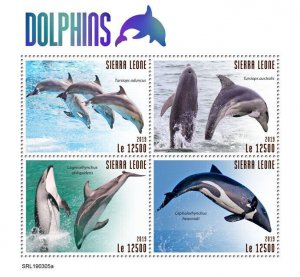 Sierra Leone 2019 MNH Marine Animals Stamps Dolphins Heaviside's Dolphin 4v M/S