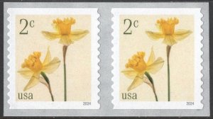 SC#5903 2¢ Daffodils Coil Pair (2024) SA