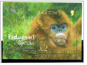 Guernsey Sc 816 2004 Snub Nosed Monkey stamp sheet used 