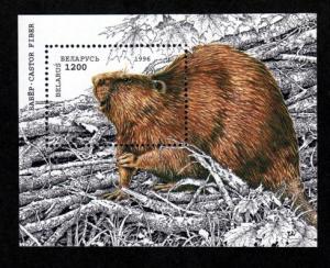 Belarus # 143 Mint S/S Beaver!