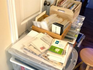 Worldwide Collection lot of 250++ randomly picked off paper Stamps